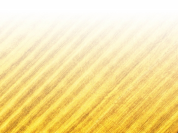 智能農(nóng)機(jī)、“訂單”服務(wù)、“云端”種菜——來(lái)自江西的春耕“新事”